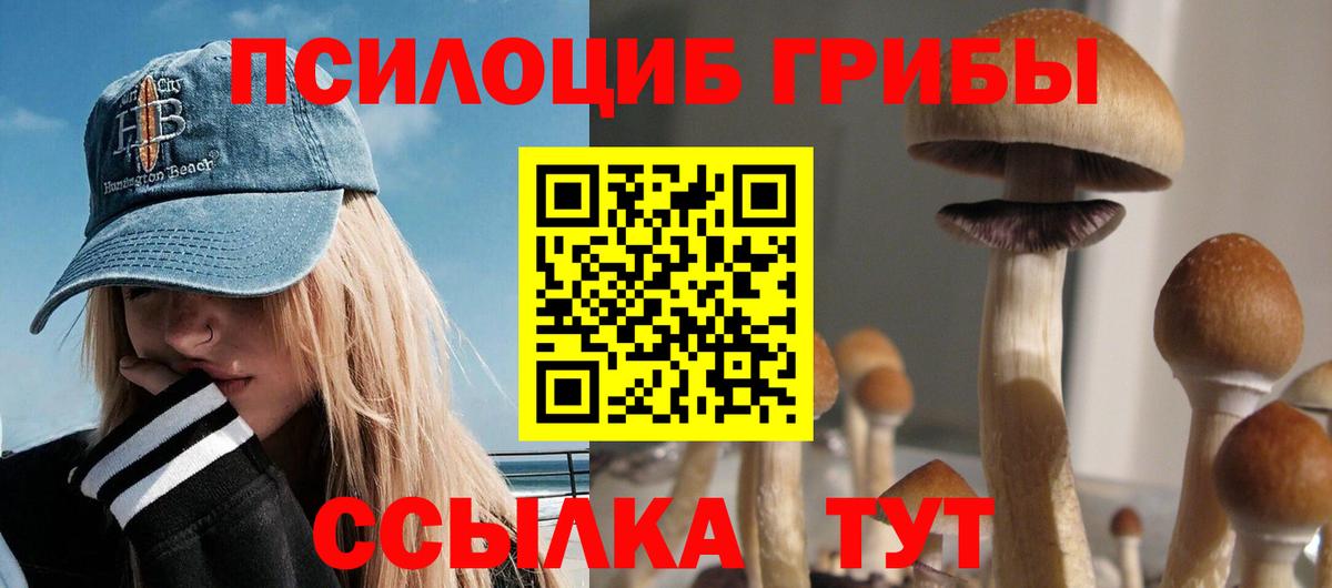 Галлюциногенные грибы мицелий Волгоград