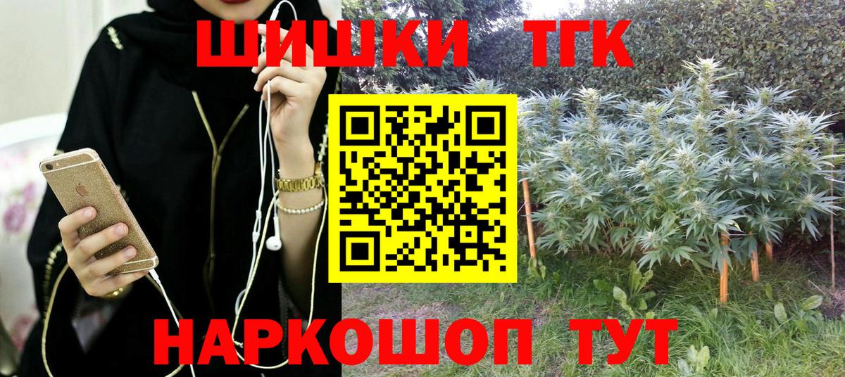 Каннабис сатива Волгоград